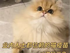 -瑞派雷欧宠物医院·24h夜诊·心脏骨科牙科·全科重症转诊中心(无影山店)