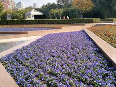 -上海市龙华烈士陵园