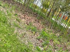 -前小桔亲子创意农场·草莓采摘·露营烧烤