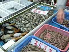 -大湾区中央湿地公园-十九涌
