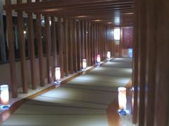 -重庆南山海昌汤都