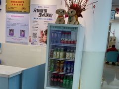 -北京观赏动物医院·24小时大型综合·猫专科·异宠专科