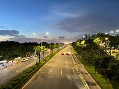 -宝安西湾红树林湿地公园