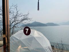 -望湖烤鱼