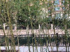 -唐诗楼(竹林庭院店)