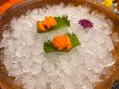 -月龍吟(朝龙汇店)