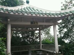 又一个亭子-银瓶嘴森林公园