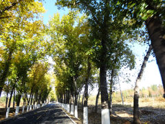 景点-百里山水画廊乌龙峡谷