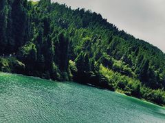 -武陵山森林公园