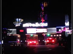-枫花园汽车电影院(朝阳公园店)