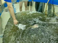 -雪野鱼头大王邢府公老店(雪野湖店)