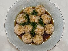 -田螺阿姨自营月嫂·育儿嫂(高新店)