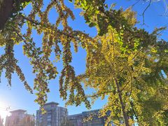 -长椿街(地铁站)