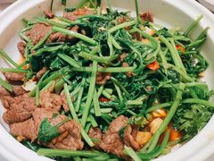香菜摔打黄牛肉-桂满陇·杭州小馆(巴黎春天浦建店)