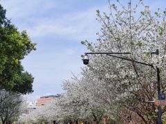 -成都大学-图书馆