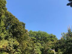 -火炉山森林公园