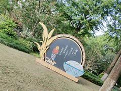 -昆山城市生态森林公园