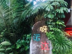 -呀诺达热带雨林