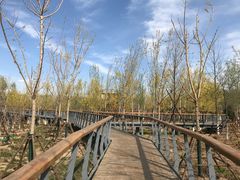 -东郊湿地公园