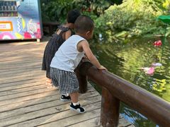 -祥源·阜阳生态乐园