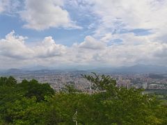 -风云岭森林公园