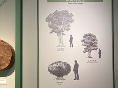 -中国茶叶博物馆(双峰馆区)