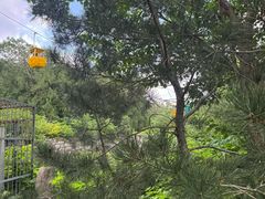 -徐州汉画像石艺术馆