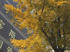 -成都凯宾斯基饭店