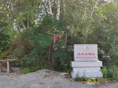-珍宝岛
