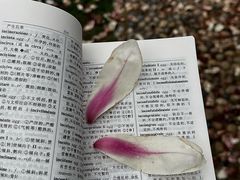 -南京晨光1865创意产业园