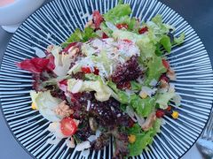 厨师长特别推荐沙拉-疯克大象美式烤肉餐厅