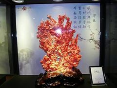 -绮丽珊瑚(台北101旗舰门市店)