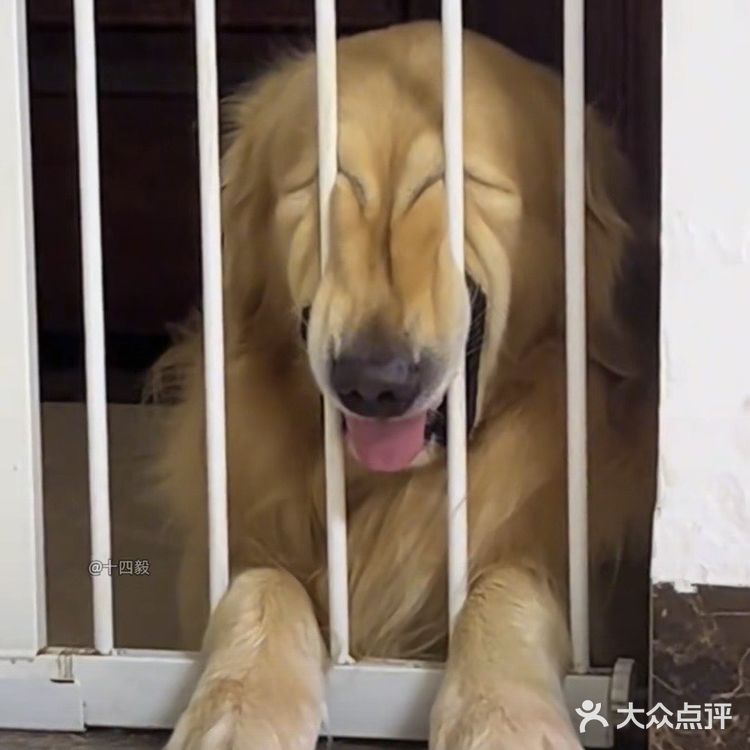 #城市向导官#我的必吃榜餐厅  宝子们，今天必须给大