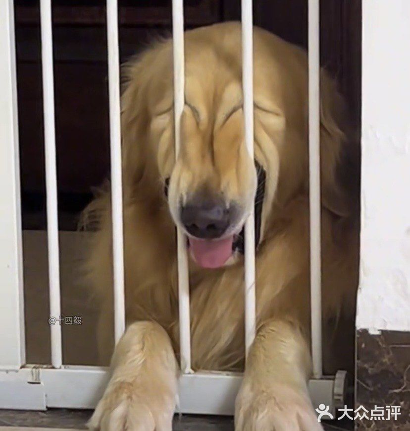 #城市向导官#我的必吃榜餐厅 宝子们,今天必须给大
