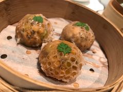 -伯衡55·吉品轩(乌鲁木齐南路店)