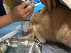 -美迦爱-牙专科·兔科·骨科诊疗中心(北苑店)