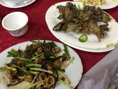 -蛇口康乐快餐鱼仔档(翠苑小区店)