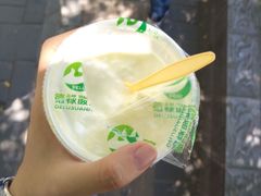 普通酸奶-德禄酸奶(莫家街店)