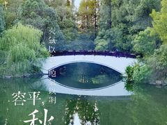 -东平国家森林公园