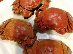 盘锦河蟹-小时候2013(瀚新店)