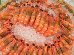-乐咖啡西餐厅(太湖皇冠假日酒店)