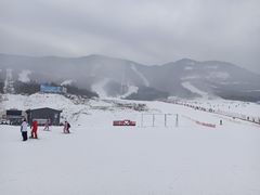 -鳌山滑雪度假区