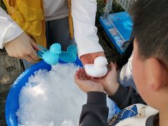 -杭州少年儿童公园