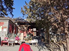 -阳台山自然风景区