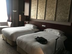 -北京首都机场希尔顿酒店