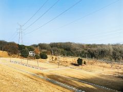 -佛手湖郊野公园
