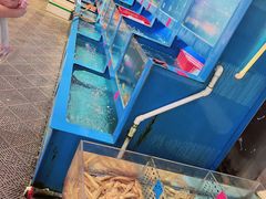 -老六海鲜城