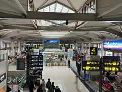 -丽江三义国际机场