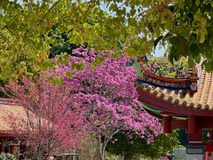 -天竺岩寺