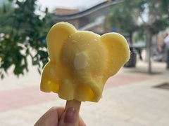 -郑州市动物园